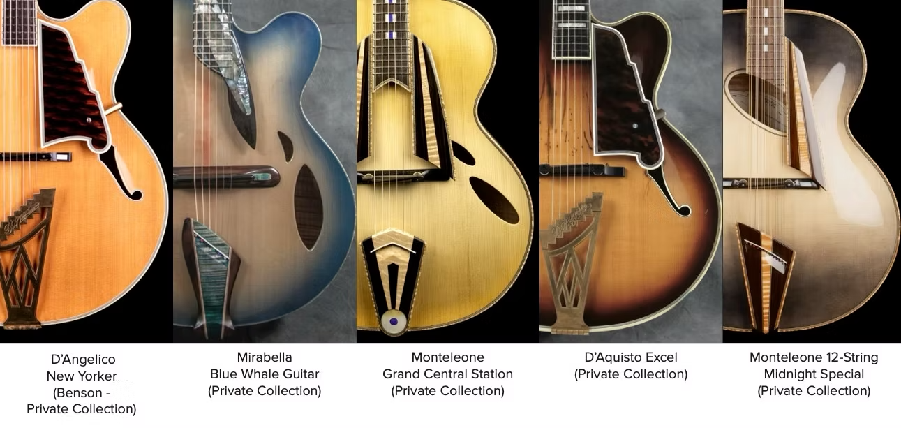 Guitar details